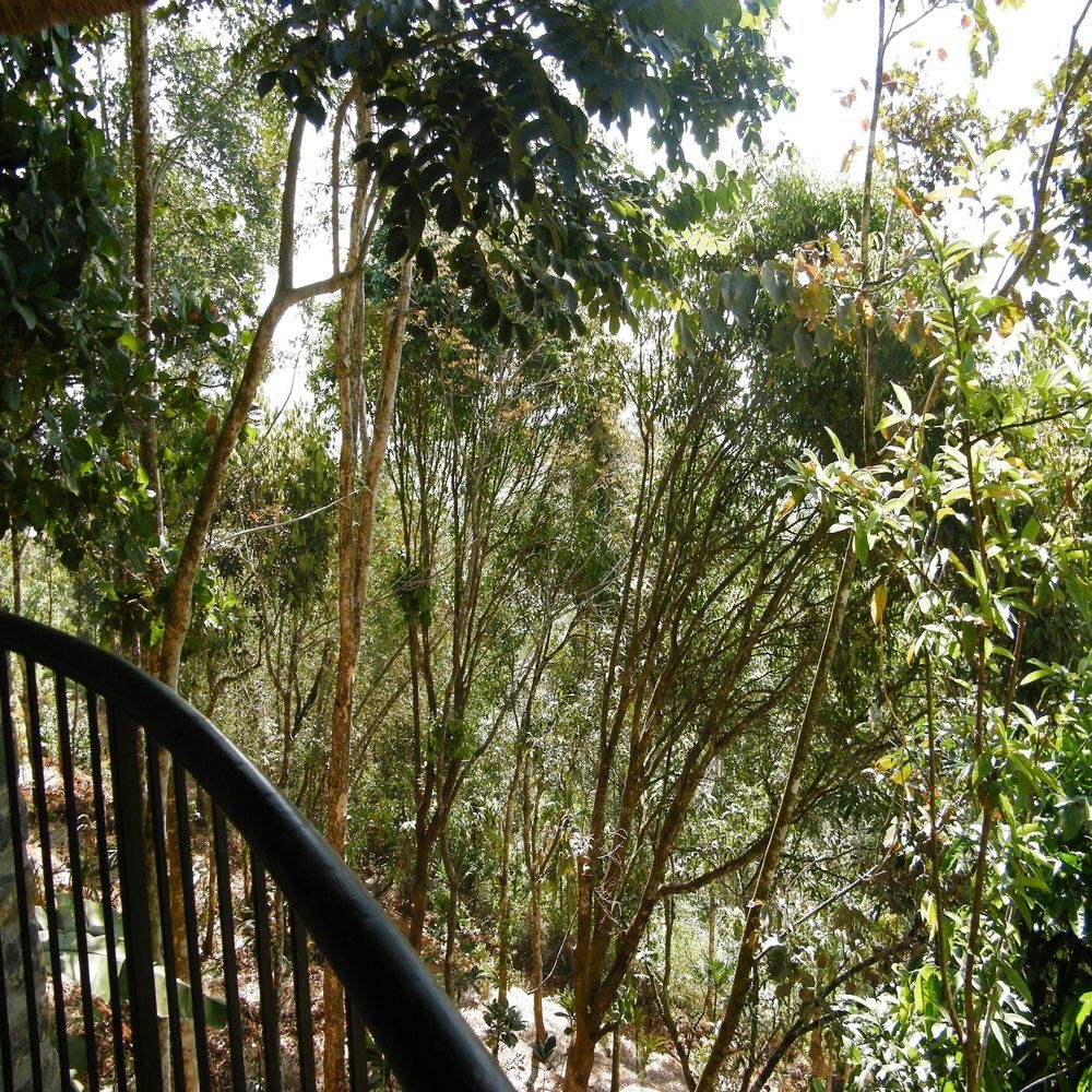 Poetree Thekkady Hotell Eksteriør bilde